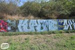 levinjam_2024_1_48