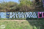 levinjam_2024_1_49
