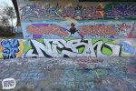 levinjam_2024_1_51