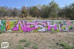 levinjam_2024_1_77
