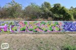 levinjam_2024_1_78