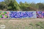 levinjam_2024_1_79