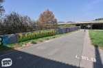 levinjam_2024_1_8
