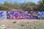 levinjam_2024_1_80