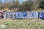 levinjam_2024_1_82