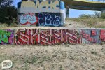 levinjam_2024_1_87