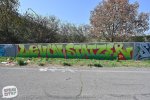 levinjam_2024_1_9