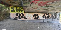levinjam_2024_1_13