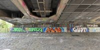levinjam_2024_1_26