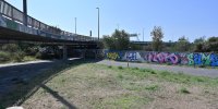 levinjam_2024_1_33