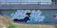 levinjam_2024_1_35