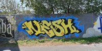 levinjam_2024_1_36
