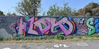levinjam_2024_1_38