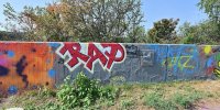 levinjam_2024_1_41
