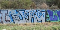 levinjam_2024_1_42
