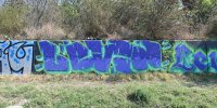 levinjam_2024_1_43
