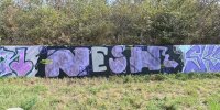 levinjam_2024_1_45