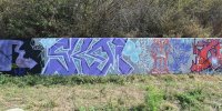 levinjam_2024_1_46