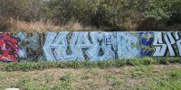 levinjam_2024_1_48