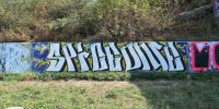 levinjam_2024_1_49
