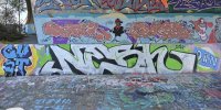 levinjam_2024_1_51