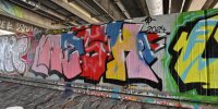 levinjam_2024_1_66