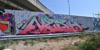levinjam_2024_1_72