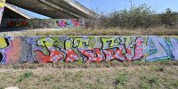 levinjam_2024_1_74