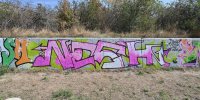 levinjam_2024_1_77