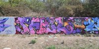 levinjam_2024_1_80