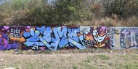 levinjam_2024_1_81