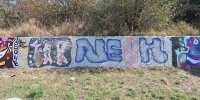 levinjam_2024_1_82