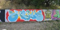 levinjam_2024_1_84