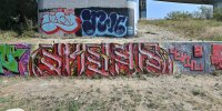 levinjam_2024_1_87