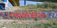 levinjam_2024_1_88