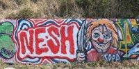 levinjam_2024_1_93