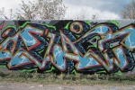 Levin_6