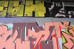 Nesh_12