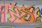 Nesh_13