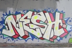Nesh_14