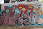 Nesh_15