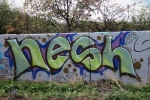 Nesh_9