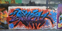 34_LEVIN_by_TAZ