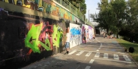 levinjam11
