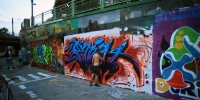 levinjam24